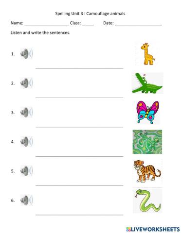 Spelling Unit 3 Camouflage animals
