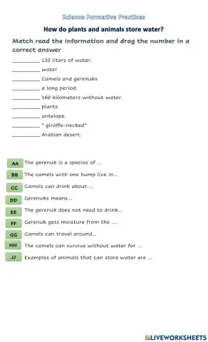 How do animals and plants store water?