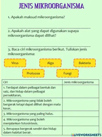 Jenis Mikroorganisma