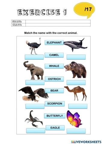 Wild life year 5 english page 40