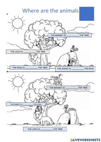 Where are the animals