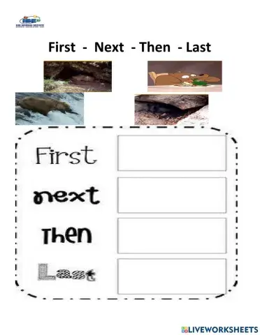 First, next, then and last