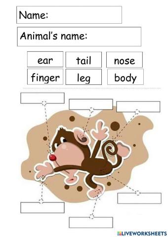 Animal's body parts