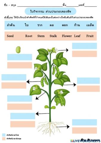 Common Parts of a Part