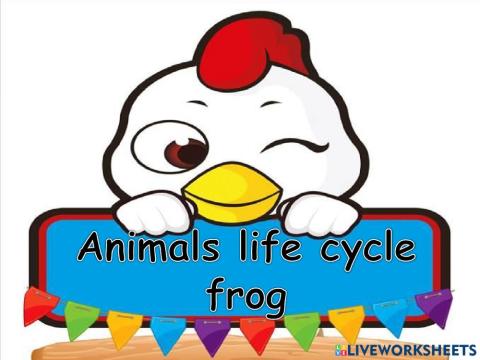 Lifecycle frog