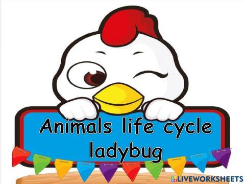 Lifecycle ladybug