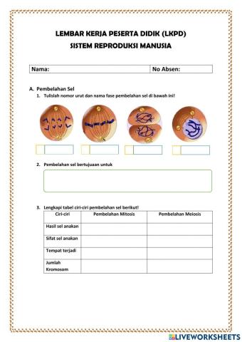 LKPD Sistem Reproduksi Manusia