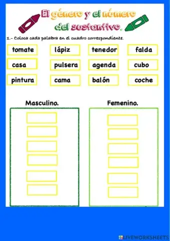 Femenino y masculino
