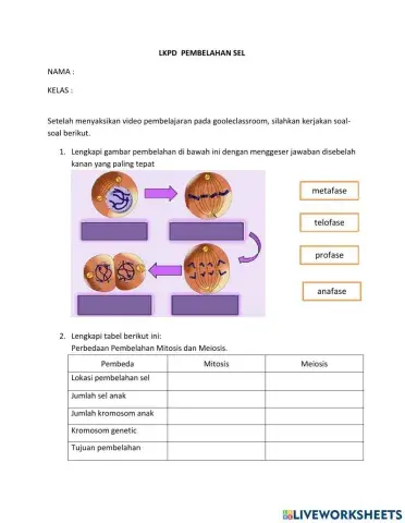 Lkpd pembelahan sel