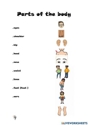 Parts of the body