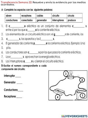 C.N-Transferencia Semana 22