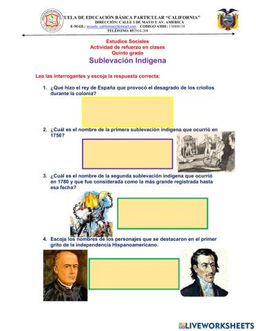 Sublevación indígena