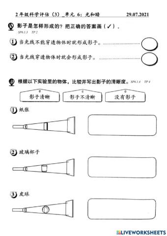2年级科学评估（3）-单元 6：光和暗
