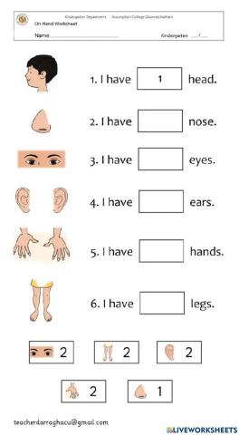 How Many Body Parts?