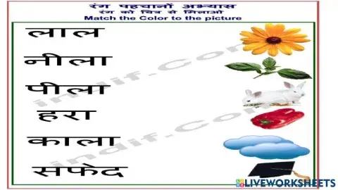 रंगों को चित्र से मिलाइए