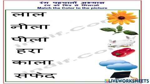 रंगों को चित्र से मिलाइए