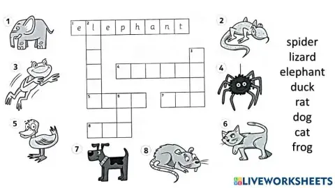 Y1 Animal puzzles