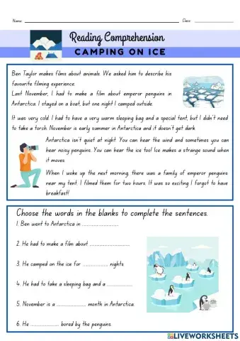 Plan a camping trip with a friend