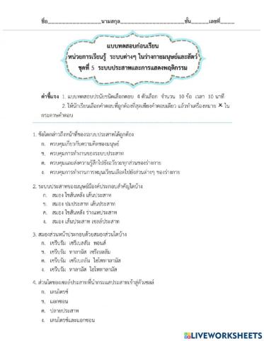 ใบงานระบบประสาท