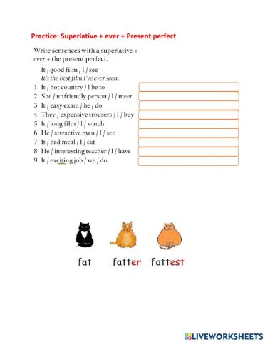 GEP5 - Superlative + ever + present perfect