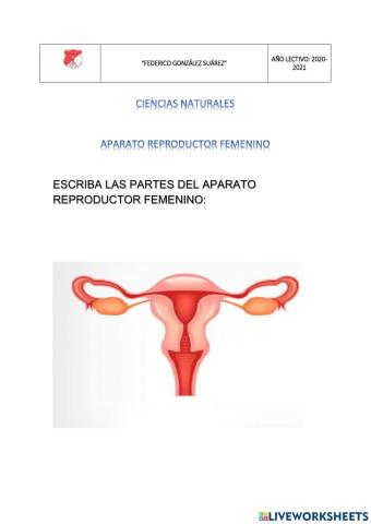 Aparato reproductor femenino
