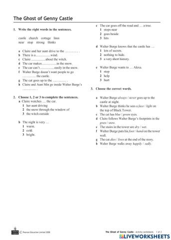 The ghost of genny castle