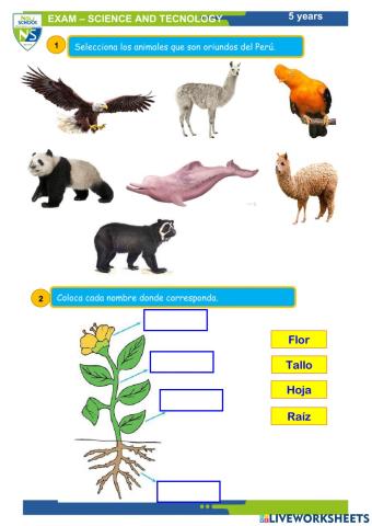 Ciencia y tecnología