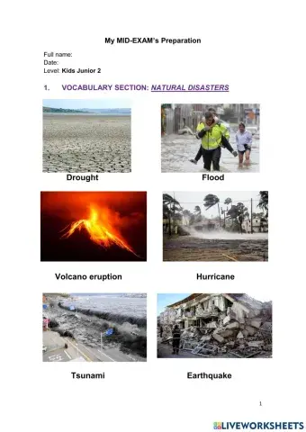 Natural disasters