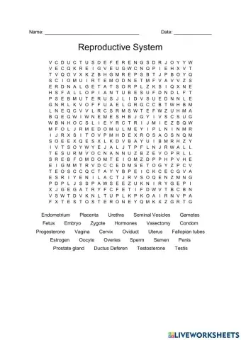 Reproductive System Wordsearch