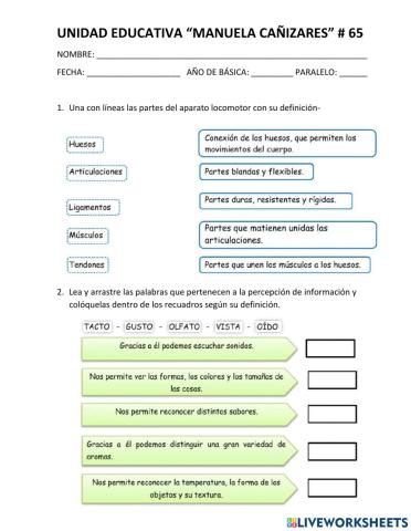 Evaluación Ciencias Naturales