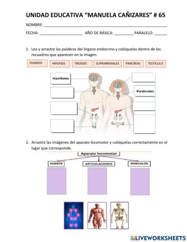 Evaluación Ciencias Naturales3