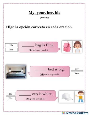 My, her, his, your (Adjetivos posesivos)