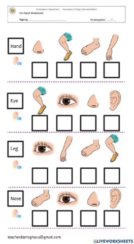 Body Parts Listen and Match