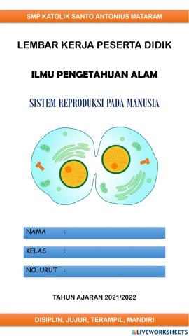 Sistem Reproduksi pada Manusia: Pembelahan Sel