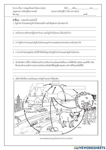 วัฏจักรของสาร