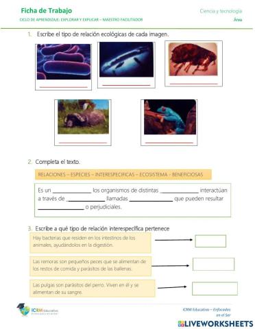 Relaciones ecologicas