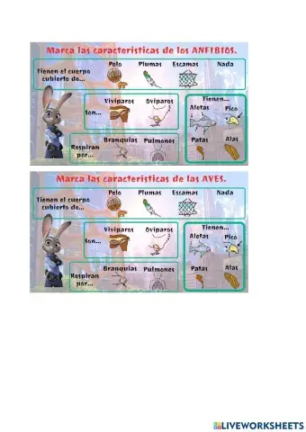 Animales vertebrados