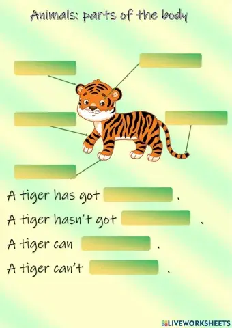 Animals: parts of the body