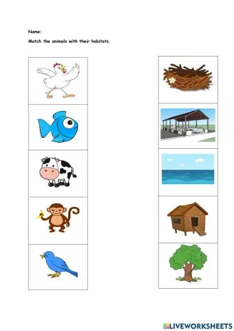 Animals' habitas