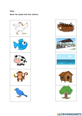 Animals' habitas