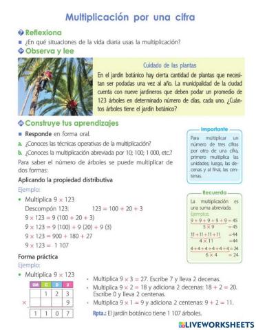 Multiplicación de 1 cifra