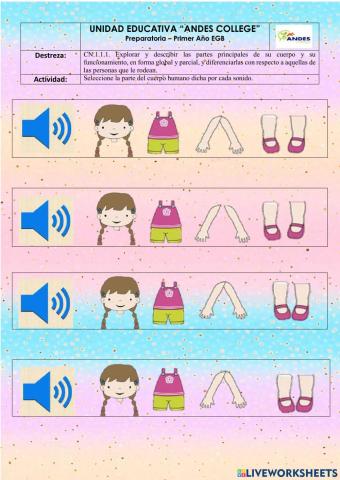 Partes Principales del Cuerpo Humano