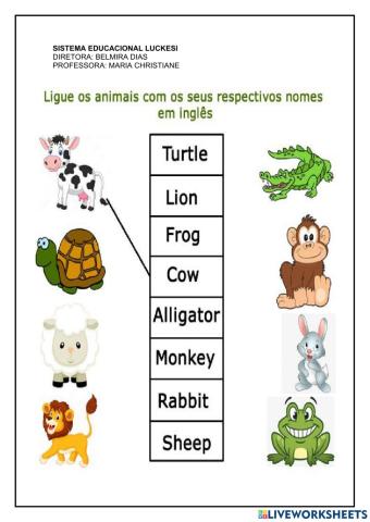 Nome de animais em inglês