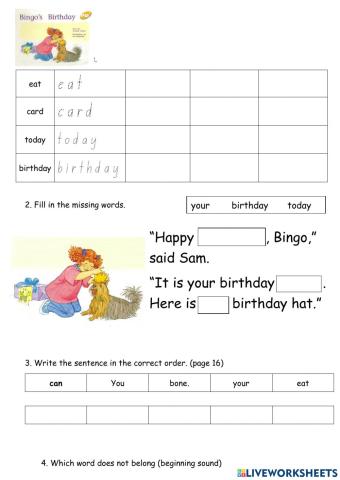 Bingo's Birthday