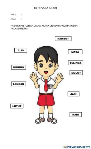 Mengenal anggota tubuh