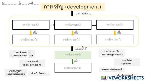 การเจริญเติบโตของสิ่งมีชีวิต