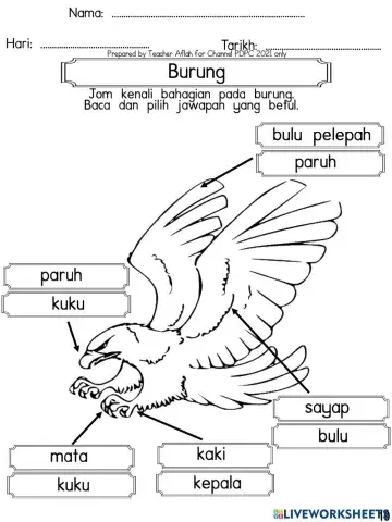 Burung