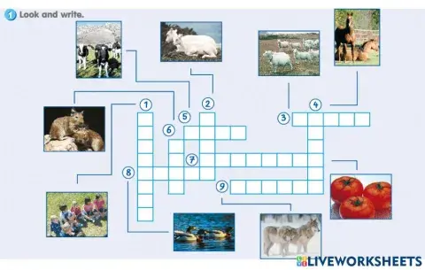 Plural Nouns for Animals (Regular & Irregular)