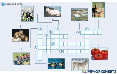 Plural Nouns for Animals (Regular & Irregular)
