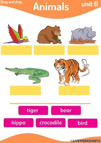 Animals family and friends